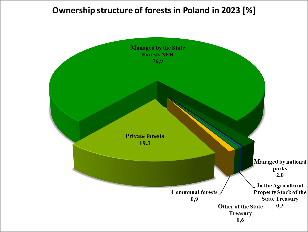 Forests in Poland