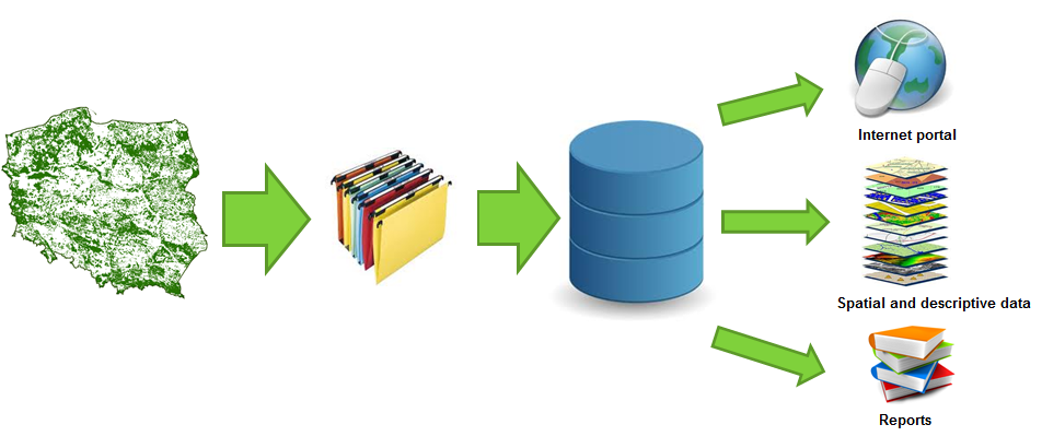 About Forest Data Bank